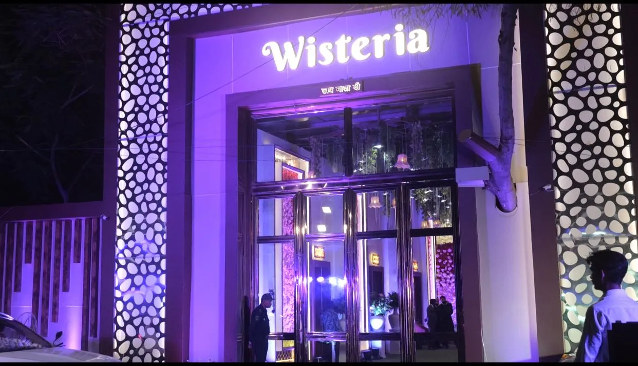 Wisteria